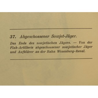 Raebiger Abgeschossener Sowjet - Jäger, lavion de combat I-15 soviétique vers le bas. Espenlaub militaria